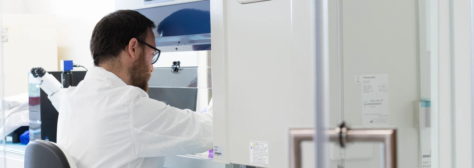 10 años de investigación fundamental en pigmentación cutánea
