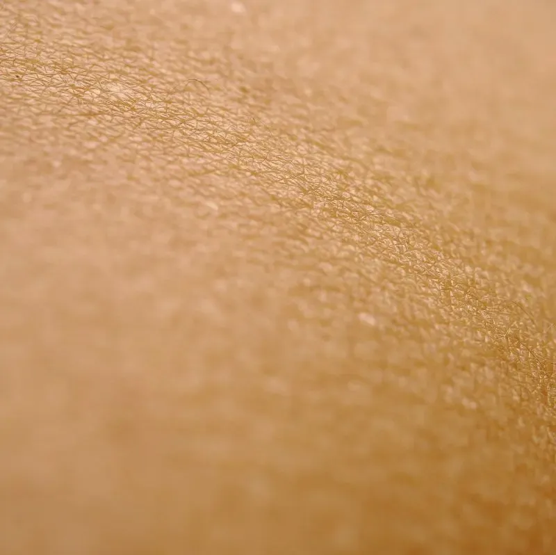 El secreto para hidratar la piel seca 