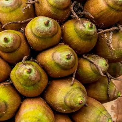 Aceite de babasú