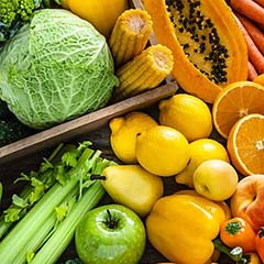 Activos antioxidantes