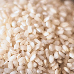 Agua de Arroz ecológico