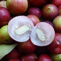 Extracto de Camu Camu