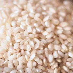 Extracto de arroz ecológico