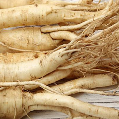 Ginseng Rojo