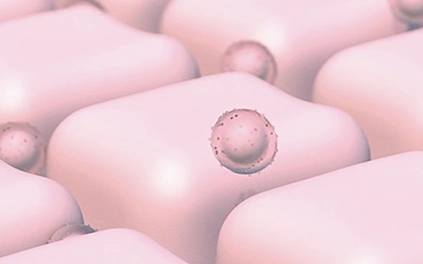 C&aacute;psula de B-CORE 221&trade; dirigi&eacute;ndose al melanocito para m&aacute;xima eficacia despigmentante 