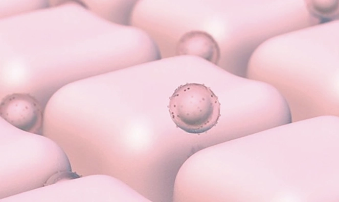 C&aacute;psula de B-CORE 221&trade; dirigi&eacute;ndose al melanocito para m&aacute;xima eficacia despigmentante 