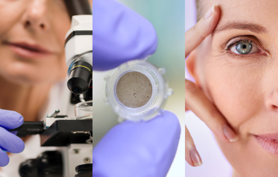 Laboratorio de cultivo celular de epidermis 3D de Bella Aurora